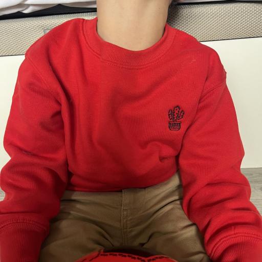 Sudadera CACTUS  [3]