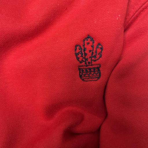 Sudadera CACTUS  [1]