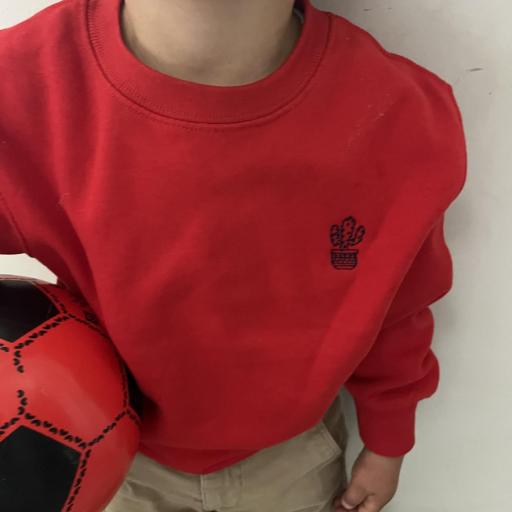 Sudadera CACTUS  [2]