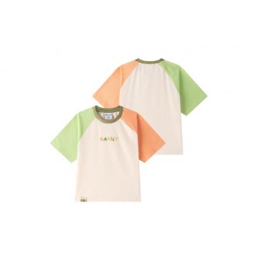 Conjunto Tractor  [1]