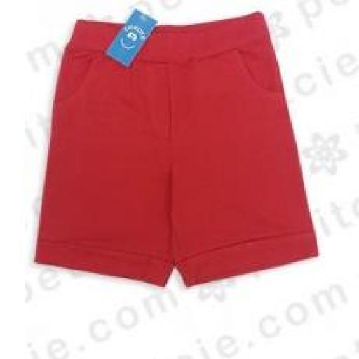 Pantalón corto básico para niño – varios colores [2]