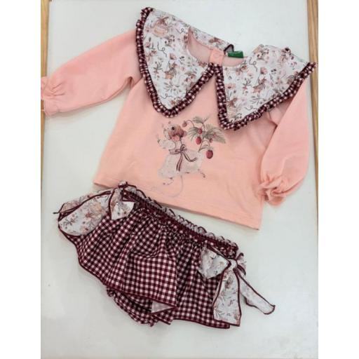 Conjunto Ardilla 