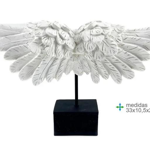 ALAS DE ANGEL.
