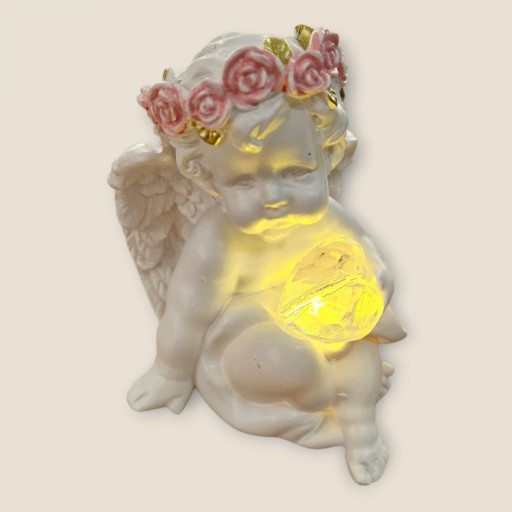 ANGEL CORONA FLORES ROSAS [2]