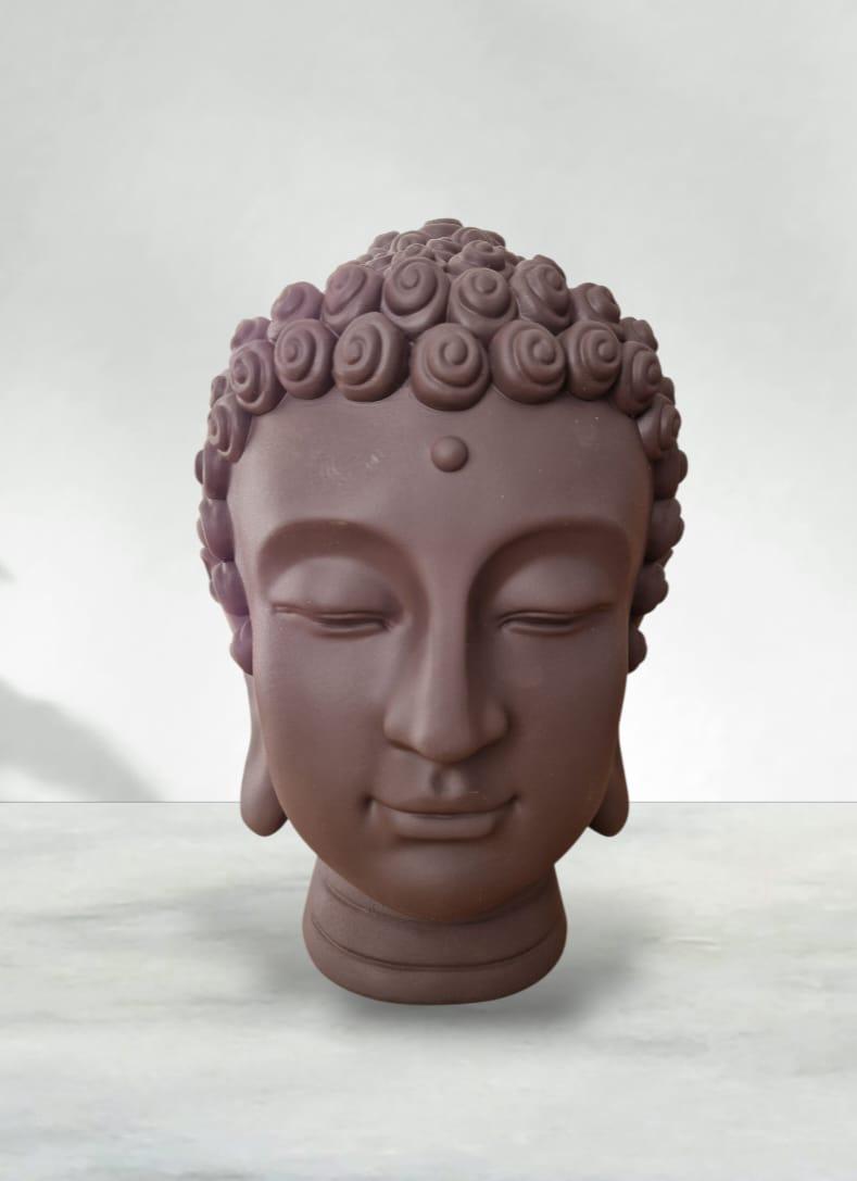 CABEZA DE BUDA RESINACA