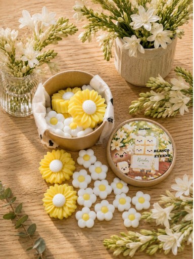 MARIMELS BLANCO ETERNO  WAX MELTS ) Nardos [1]