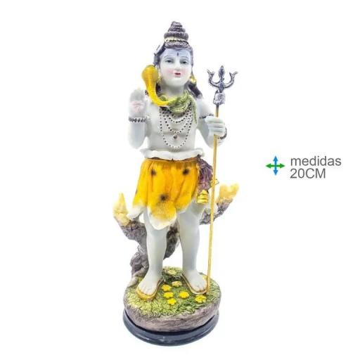 SHIVA RESINA 