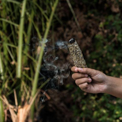 SAHUMO SALVIA BLANCA. [1]