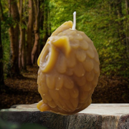 VELA BUHO DE MIEL [1]