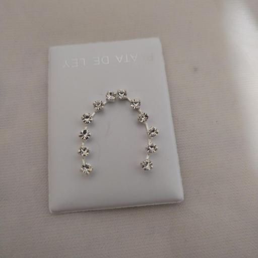 Trepadores  pendientes en plata 925  [3]