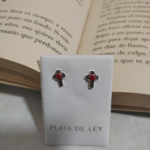 Pendientes pequeños  en plata  [1]