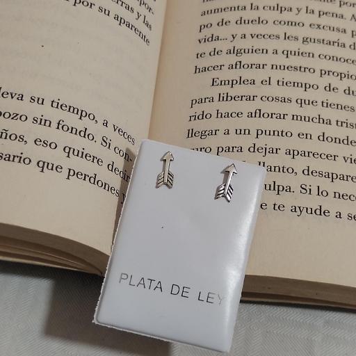 Pendientes pequeños  en plata  [0]