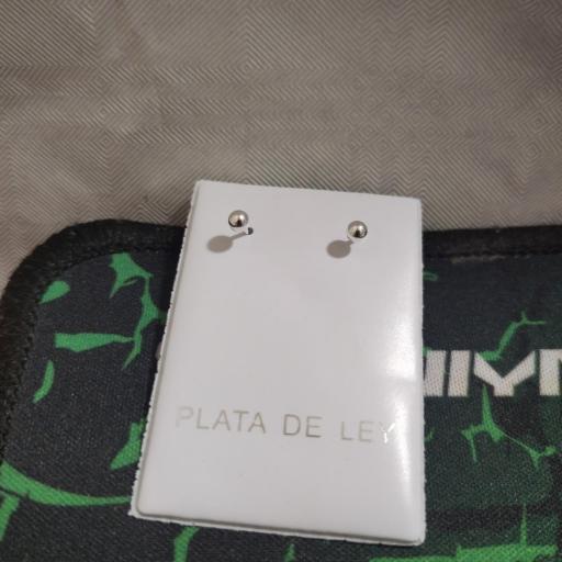 Pendientes topo en plata 