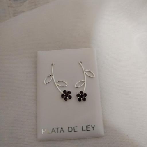 Trepadores  pendientes en plata 925  [1]