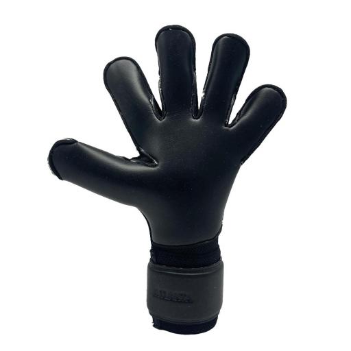 ATLANTA PRO BLACKOUT [2]