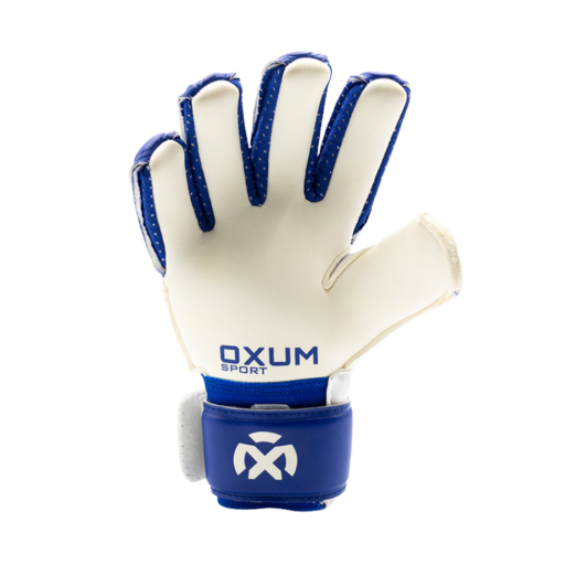 GUANTES CLASSIC BLUE [2]