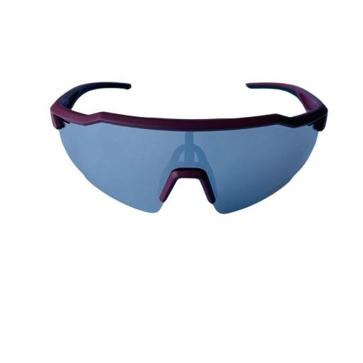 Gafas ciclismo Parcel Pro 