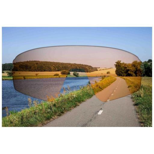Gafas Force Electra  [3]