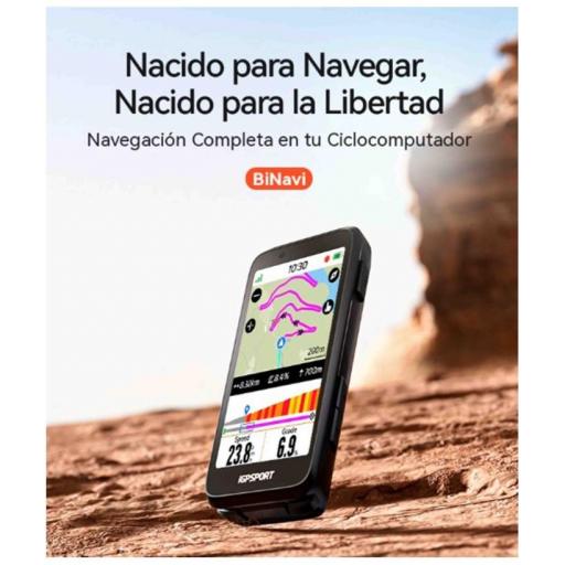 GPS IGPS Binavi [1]