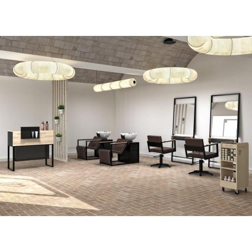 Sillón Peluquería Ocean B U [7]