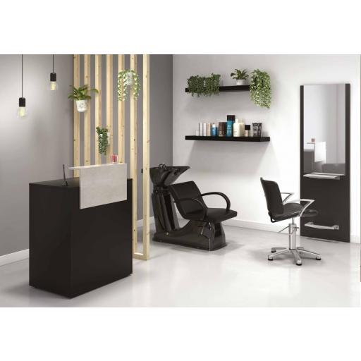 Lavacabezas Oliver [4]