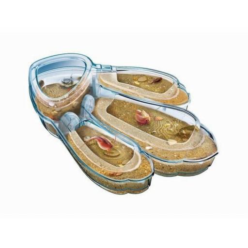 Juego de Ciencia Clementoni Triops Les animaux préhistoriques FR [2]