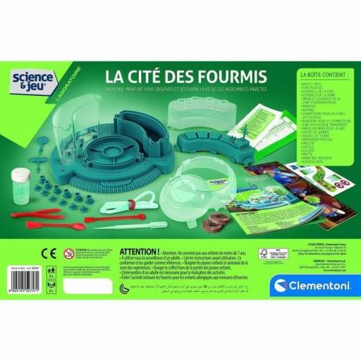 Juego de Ciencia Baby Born Science and Games The city of ants Ant observatory (FR) [2]
