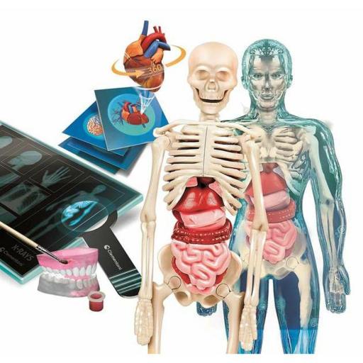 Juego de Ciencia Clementoni Superanatomía (ES) [1]