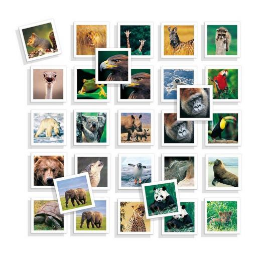 Juego Educativo Diset Memo Photo Animales 54 Piezas [3]