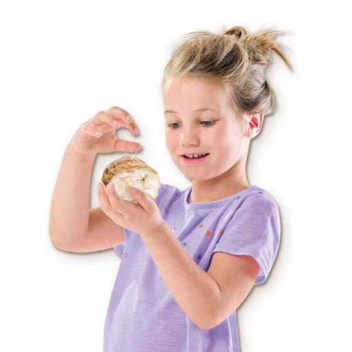 Juego de Mesa SES Creative Explore Geodes (FR) [1]