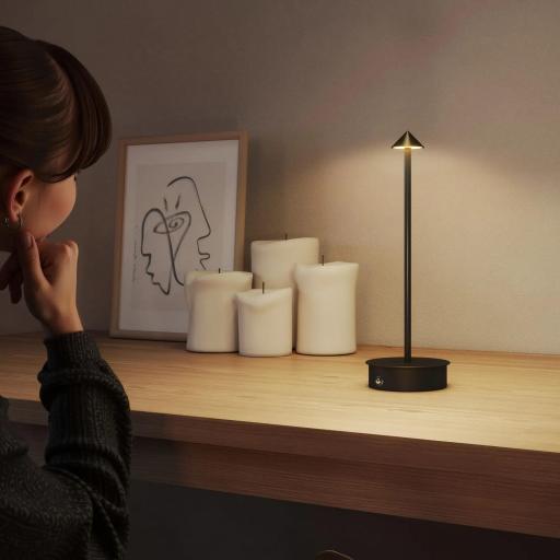 Juego de 2 Lámparas de Mesa LED Recargables con USB y Control Táctil y Luz Regulable Ø10x30 cm Negro [3]