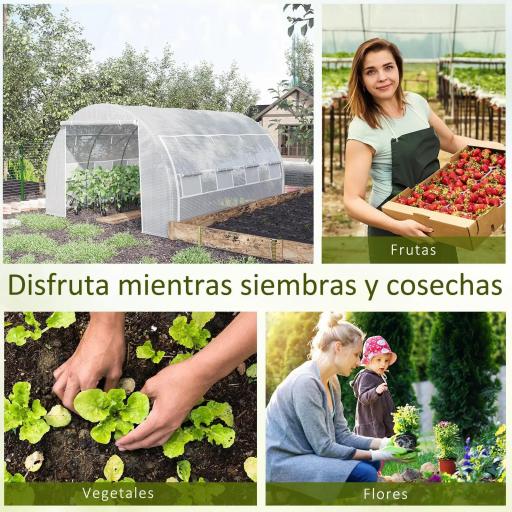 Invernadero de Túnel Invernadero de Jardín 4x3x2 m con Puerta y 8 Ventanas Enrollables para Cultivos Plantas Blanco [4]
