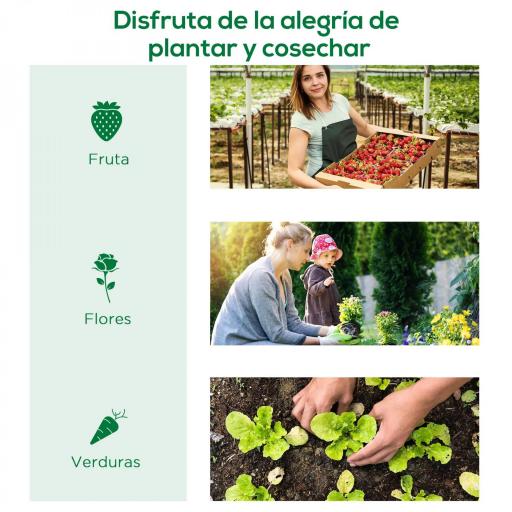 Invernadero Pequeño para Cultivo de Plantas con 4 Ventanas Marco de Acero y Cubierta de PE Anti-UV 200x80x45 cm Verde [2]