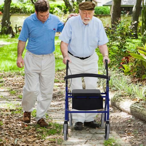 Andador para Adultos Plegable Con Almacenaje Asiento y Frenos 65x53x79-89 cm Azul y Negro