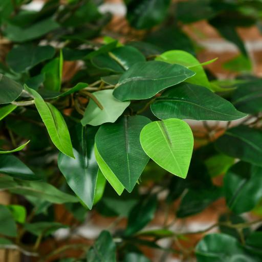 Lote de 2 plantas artificiales ficus altura 1,80 m tronco ramas liana musgo hojas gran realismo maceta incluida Verde [3]