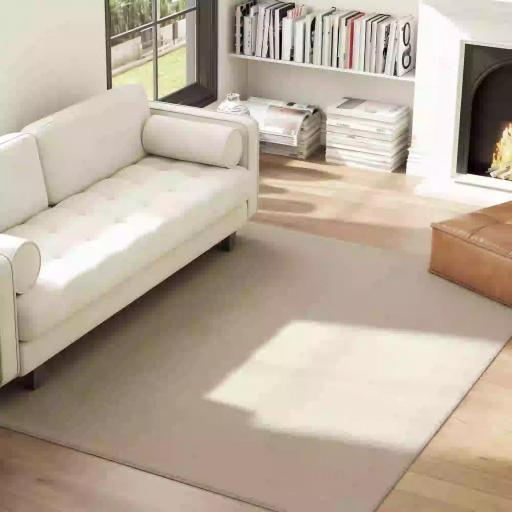 Alfombra Salón 160x230 cm Lavable en Lavadora Pelo Largo Estilo Moderno Tapete para Sala de Estar Dormitorio Crema