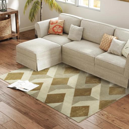 Alfombra Lavable en Lavadora Pelo Corto 170x120 cm Estilo Moderno Tapete para Sala de Estar Dormitorio Comedor Crema [9]