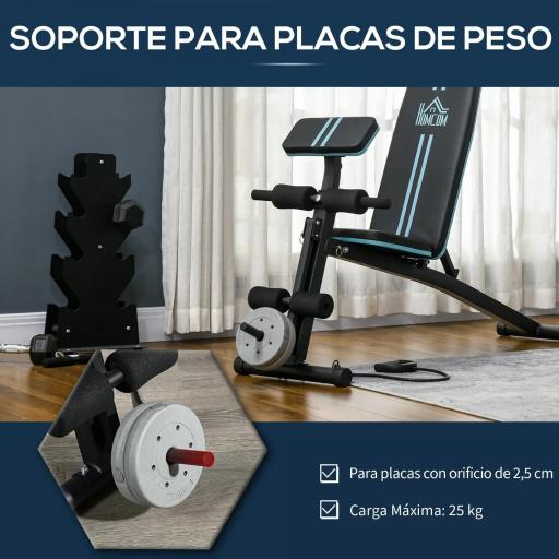 Banco de Musculación Plegable con Respaldo Regulable Extensión de Pierna Cojín de Predicador Banda 160x54x106 cm Negro [4]