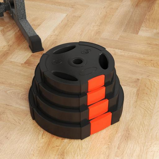 Juego de Discos Pesas de 4 Piezas 2x10 kg 2x5 kg con Orificios de 2,5 cm para Entrenamiento Fitness en Hogar Negro [3]