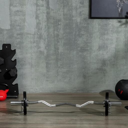 Juego de 2 Discos de Pesas Olímpicas de 5 kg con Orificio de 5 cm para Entrenamiento de Fuerza Ø24x3,5 cm Negro [7]