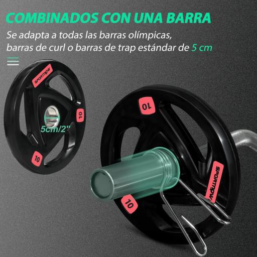 Juego de 2 Discos de Pesas sin Barra de 10 kg con Orificio de 5 cm para Entrenamiento de Fuerza Ø32x4,5cm Negro [1]
