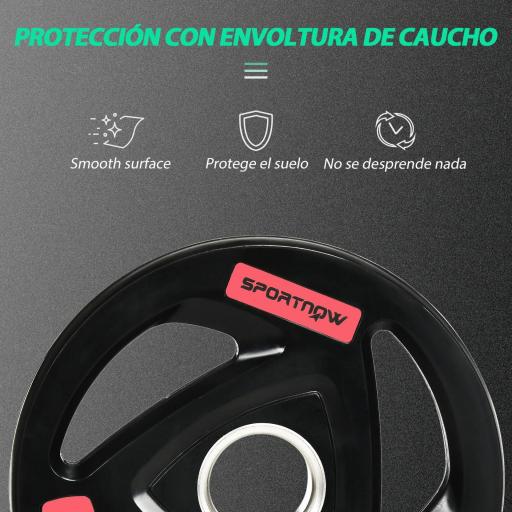 Juego de 2 Discos de Pesas sin Barra de 10 kg con Orificio de 5 cm para Entrenamiento de Fuerza Ø32x4,5cm Negro [2]