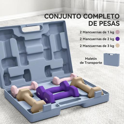 Juego de Mancuernas de 6 Piezas 2 x1 kg 2 x2 kg 2 x3 kg con Estuche de Transporte para Ejercicio en Casa Gimnasio [4]