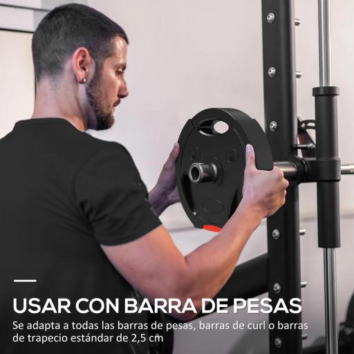 Juego de Discos Pesas de 4 Piezas 2x5 kg 2x7,5 kg con Orificios de 2,5 cm para Entrenamiento Fitness en Hogar Negro [6]