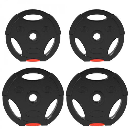 Juego de Discos Pesas de 4 Piezas 2x5 kg 2x7,5 kg con Orificios de 2,5 cm para Entrenamiento Fitness en Hogar Negro [10]