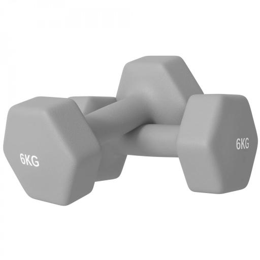 Juego de 2 Mancuernas Hexagonales de 2 x 6 kg de Metal Recubiertas en Plástico para Entrenamiento en Casa Gimnasio Gris [8]