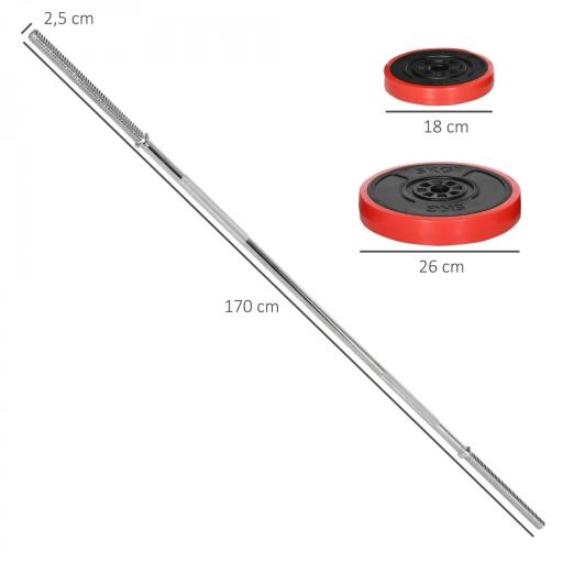 Set de Musculación con 1 Barra y 6 Discos Barra de Pesas 30 kg con Mancuernas para Entrenamiento 170x26x26 cm Rojo [1]