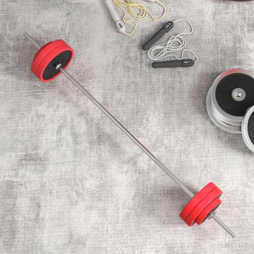 Set de Musculación con 1 Barra y 6 Discos Barra de Pesas 30 kg con Mancuernas para Entrenamiento 170x26x26 cm Rojo [7]