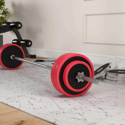 Set de Musculación con 1 Barra y 6 Discos Barra de Pesas 30 kg con Mancuernas para Entrenamiento 170x26x26 cm Rojo [8]