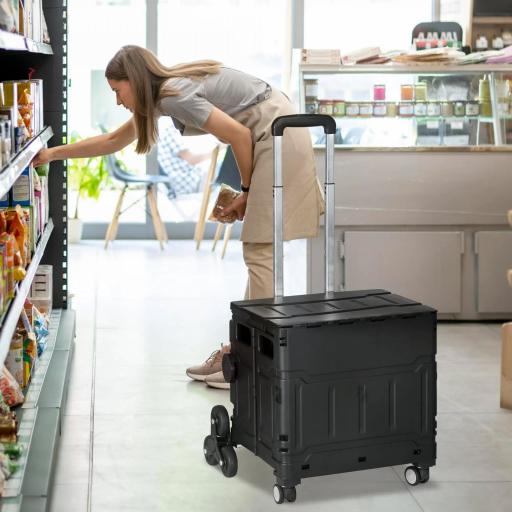 Carrito de la Compra Plegable con 2 Ruedas para Subir Escaleras Ángulo y Longitud de Mango Ajustable 48x43x95 cm Negro